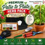 Premium Patio to Plate Herb Pack