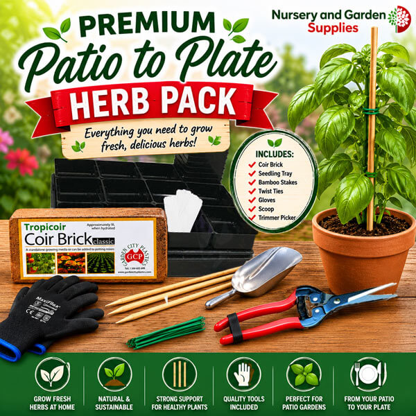Premium Patio to Plate Herb Pack