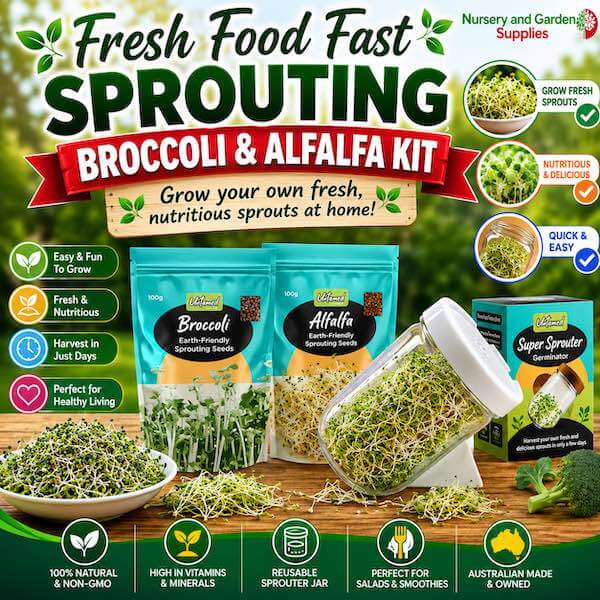 Fresh Food Fast Sprouting Broccoli & Alfalfa Kit