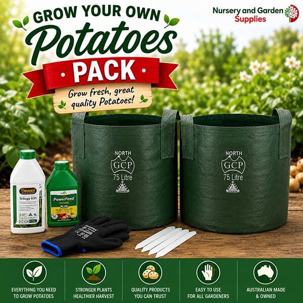 Grow your own Potatoes Pack