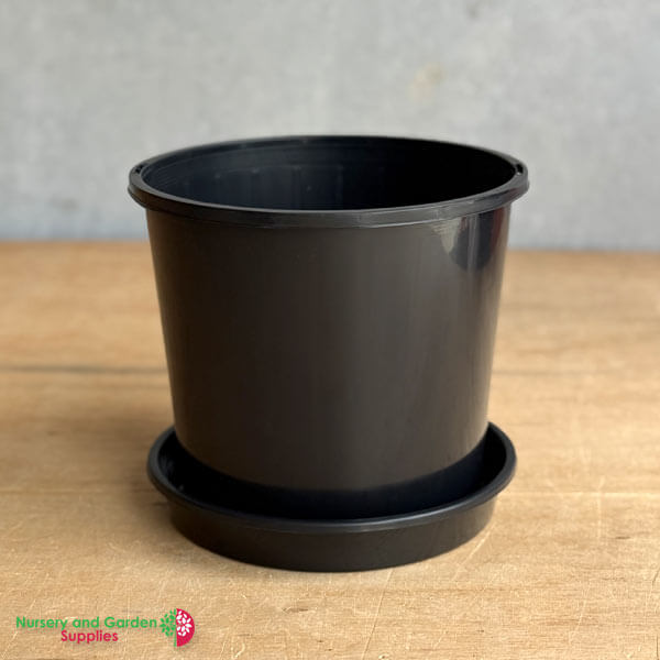 200mm Pot and saucer combo 200mm Pot and saucer combo
