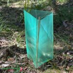 Tree Guard Surround