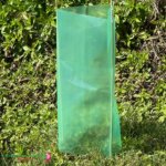 Tree Guard Surround