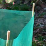 Tree Guard Surround